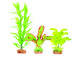 Kazoo Silk Plant Multipack 2