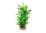 Kazoo Thin Leaf With Purple Flower Combination Plant