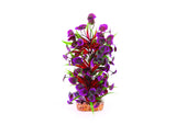 Kazoo Thin Leaf With Maroon Flower Combination Plant