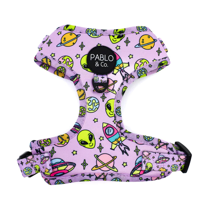 Pablo & Co Adjustable Harness Out of This World