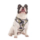 Pablo & Co Navy Wavy Adjustable Harness