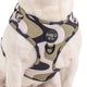 Pablo & Co Navy Wavy Adjustable Harness