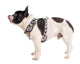 Pablo & Co Navy Wavy Adjustable Harness