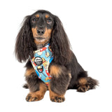 Pablo & Co Adjustable Harness Poohs Balloons