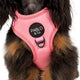 Pablo & Co Adjustable Harness Cotton Candy