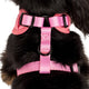 Pablo & Co Adjustable Harness Cotton Candy