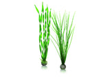 biOrb Easy Plant Set Green