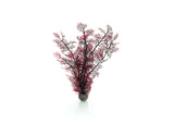 biOrb Sea Fan