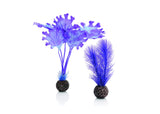 biOrb Kelp Set