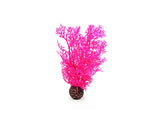 biOrb Sea Fan