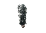 biOrb Sea Fan