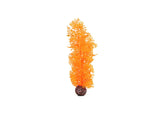 biOrb Sea Fan