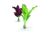 biOrb Silk Plant Set