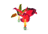 biOrb Silk Plant Set