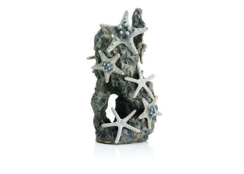 biOrb Sea Star Rock Ornament