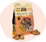 Big Dog Little Bites Freeze Dried Salmon 160g