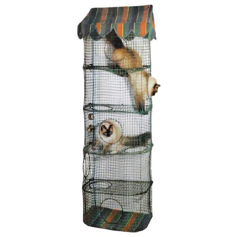 Kittywalk Climber