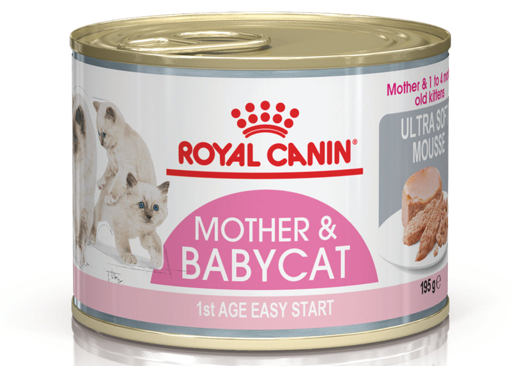 Royal Canin FHN Mother & Babycat Cans 195g