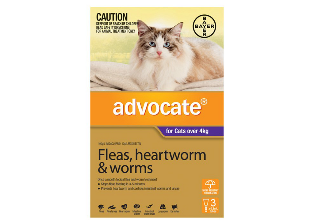 Advocate Cat Over 4kg Purple monthly spot-on flea heartworm and worm treatment for cats – 3 pack and 6 pack available for cats over 4kg