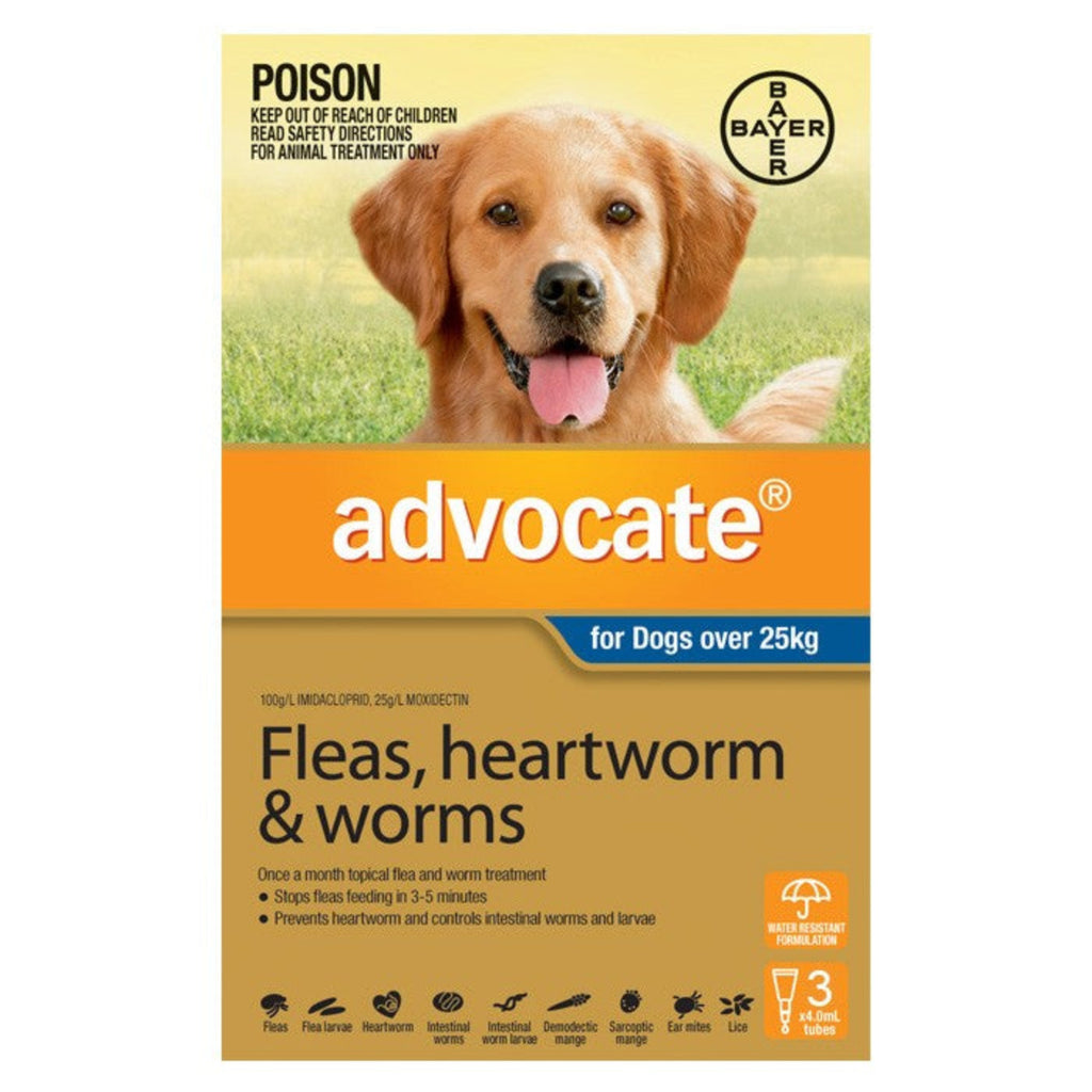 Advocate Dog Over 25kg Blue monthly spot-on flea heartworm and worm treatment for extra large dogs – 3 pack and 6 pack available