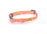 Anipal Bertie The Bee cat collar in coral with yellow bee print made from recycled plastic bottles