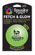 Fetch & Glow Ball