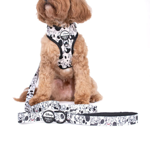 Pablo & Co Dog Leash 101 Dalmatians