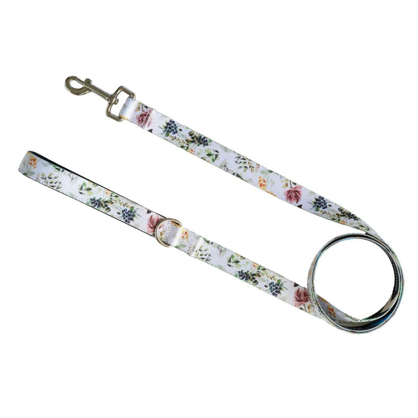 Stylish Hound Leash 2.5cm x 150cm