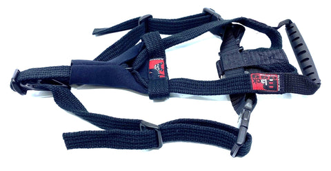 Black Dog - Y-Front Flyball Harness