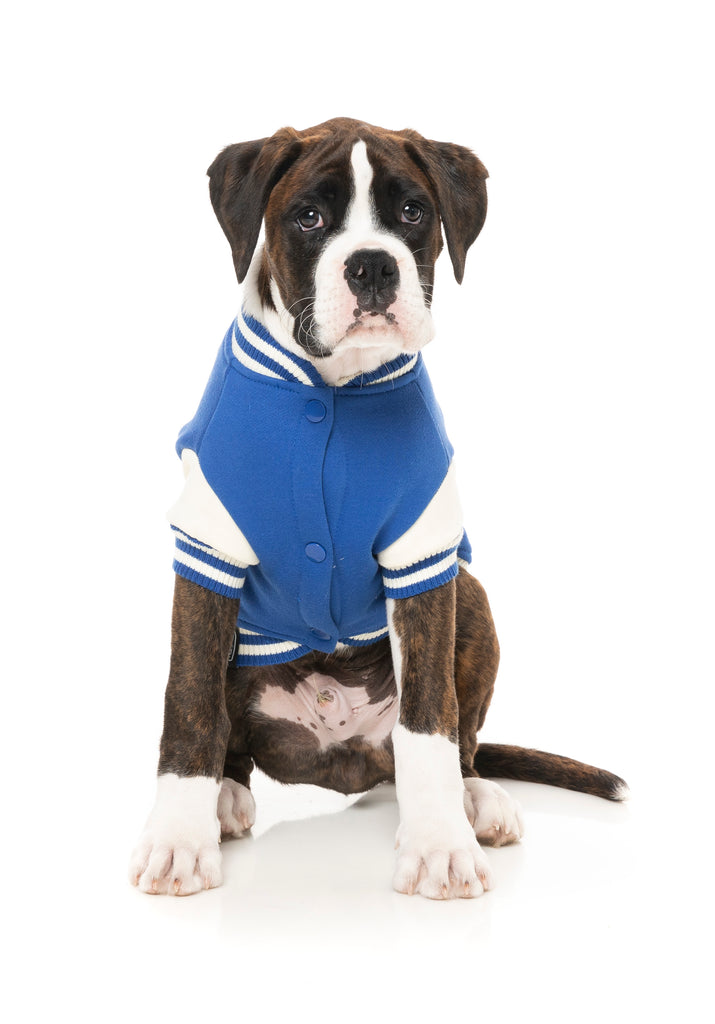 FuzzYard - The Letterman Jacket