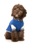 FuzzYard - The Letterman Jacket