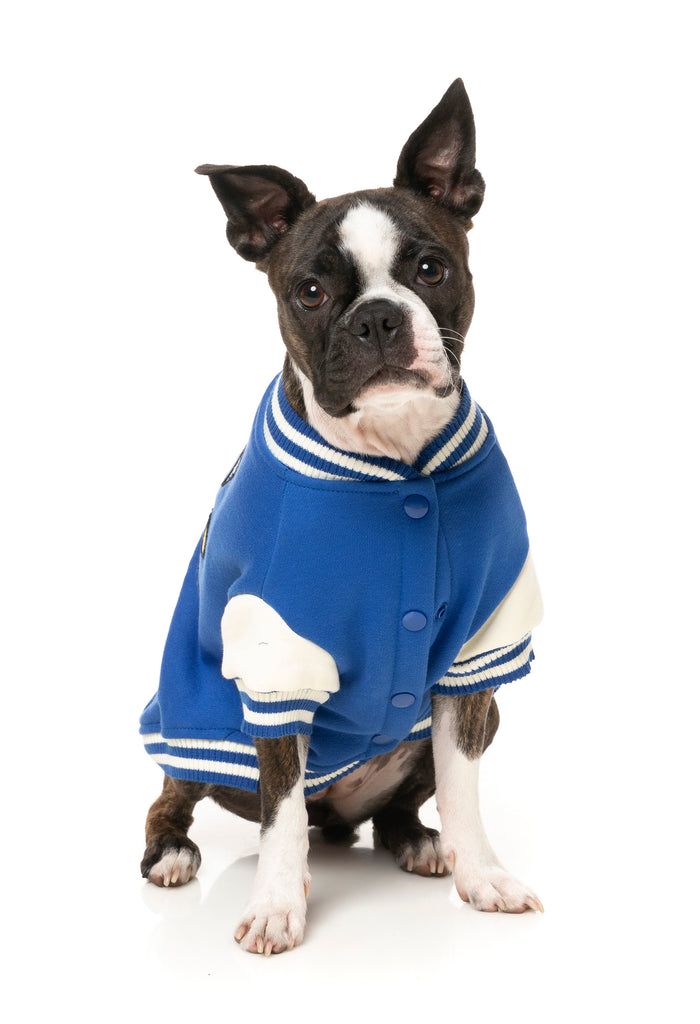 FuzzYard - The Letterman Jacket