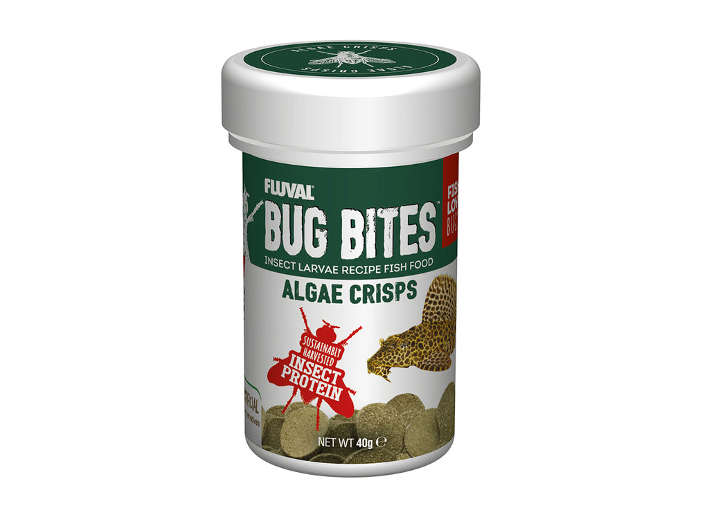 Fluval Bug Bites Algae Crisps insect larvae recipe fish food for bottom feeders