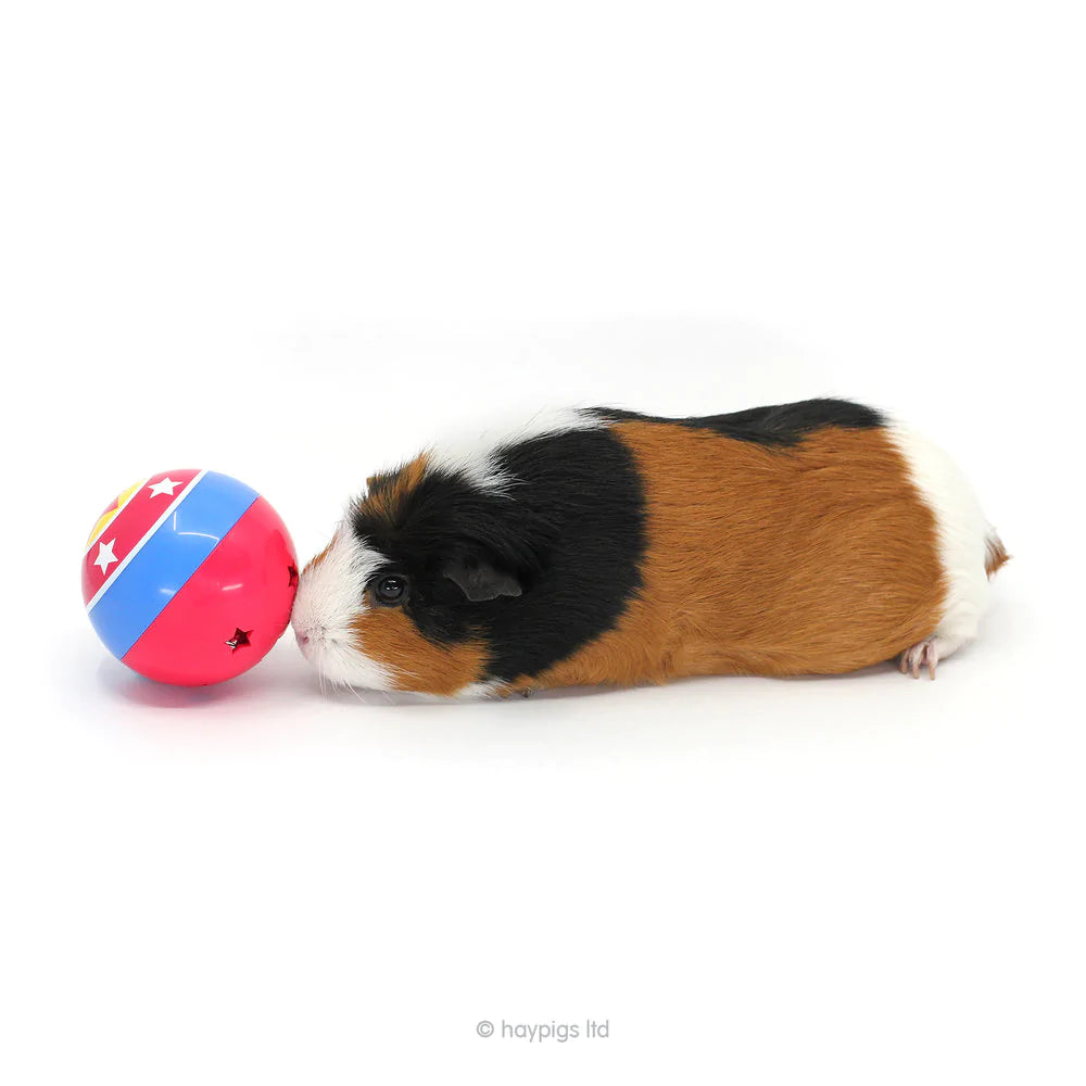 Pig treat store ball