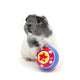 Hay Pigs Circus Treat Ball 3 in 1 Enrichment Toy