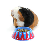 Hay Pigs Junior Food Taming Bowl