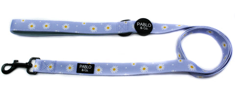 Pablo & Co Blue Daisy Dog Leash