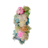 MyBestFriend Rainbow Shaggy Bird Toy