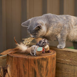 Scruffy Mouse