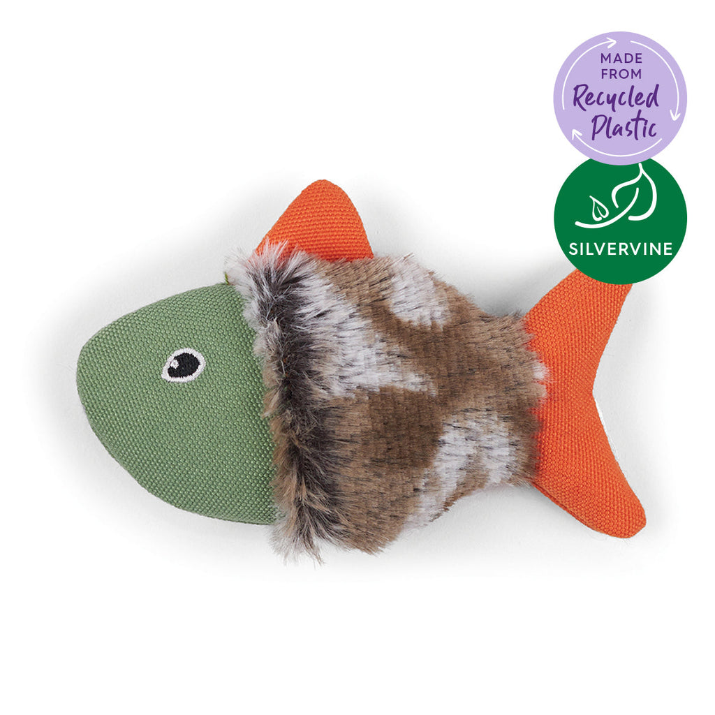 Squishy Fish