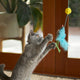 Bluebird Wand