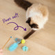 Bluebird Wand