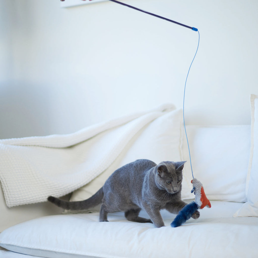 Flying Mouse Wand – Upmarket Pets Melbourne