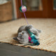 Ripple Fish Wand