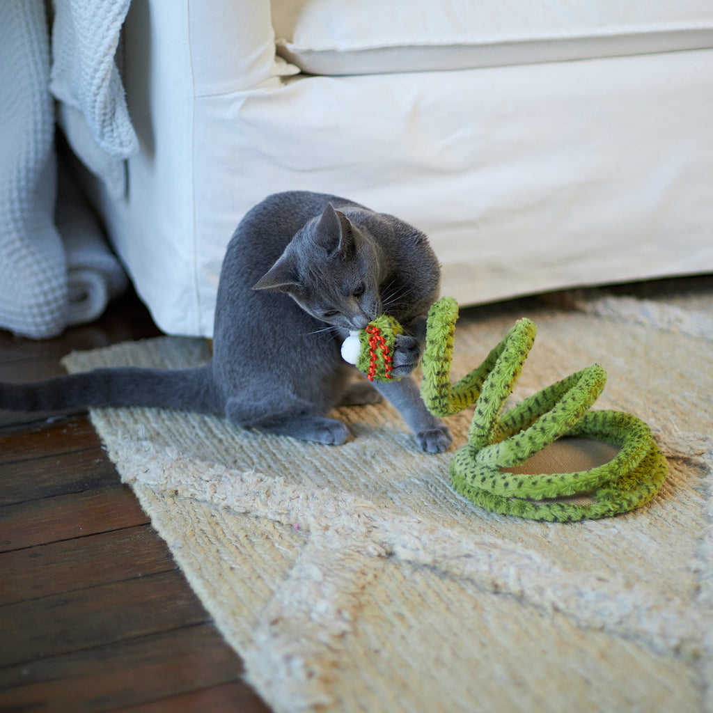 Springy Snake