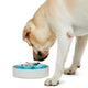 SPIN Interactive Adjustable Slow Feeder Bowl for Cats and Dogs - Cups
