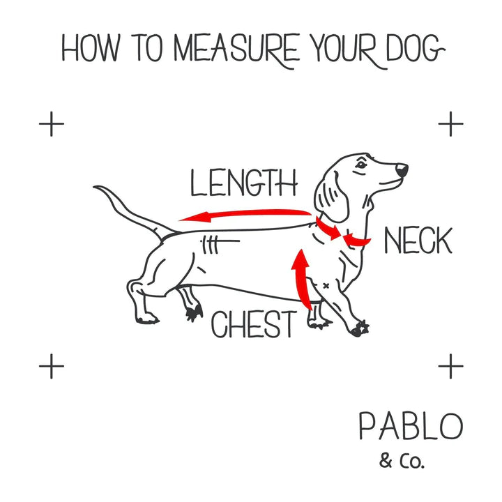 Pablo & Co Yellow Daisy Adjustable Harness