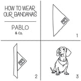 Pablo & Co Grandmas Garden Bandana