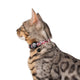 Pablo & Co Cat Collar The Little Mermaid - Sebastian