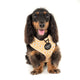 Pablo & Co Yellow Daisy Adjustable Harness